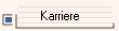 Karriere