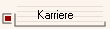 Karriere